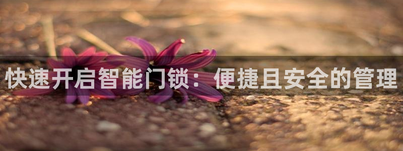 利记sbobe官网：快速开启智能门锁：便捷且安全的管理