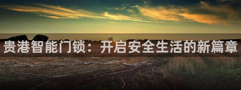 利记官网首页：贵港智能门锁：开启安全生活的新篇章