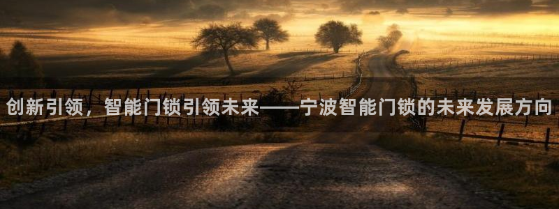澳门大利来记官网：创新引领，智能门锁引领未来——宁波智能门锁