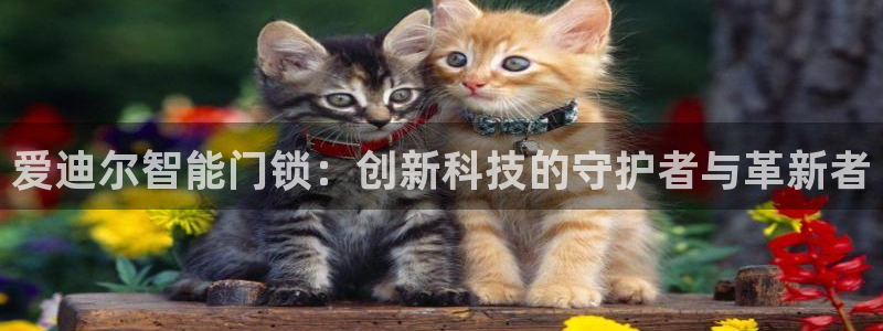 利记坊官网注册账号：爱迪尔智能门锁：创新科技的守护者与革新者