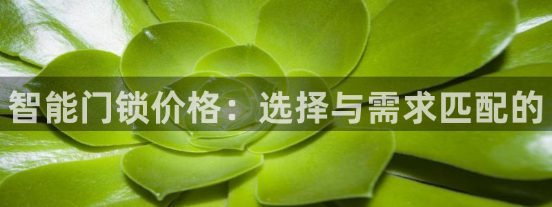 利记手机官网：智能门锁价格：选择与需求匹配的