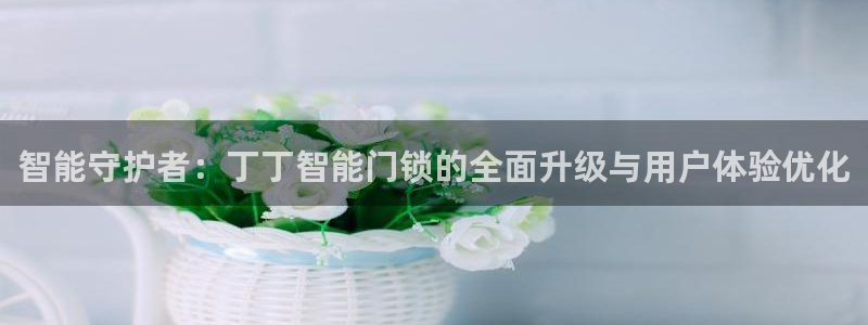 利记官网备用网址：智能守护者：丁丁智能门锁的全面升级与用户体