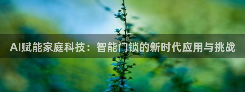 利记官网会员登录：AI赋能家庭科技：智能门锁的新时代应用与挑