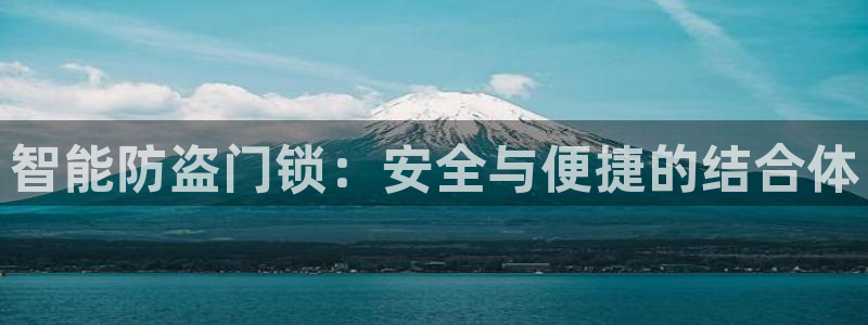 林利记官网：智能防盗门锁：安全与便捷的结合体