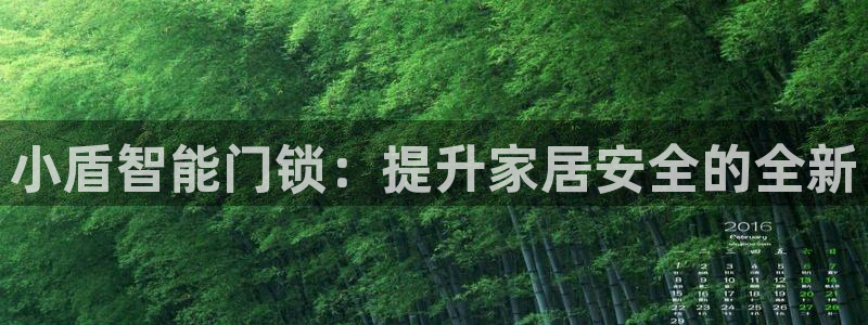 利记信誉官网：小盾智能门锁：提升家居安全的全新