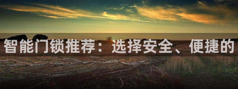 利记官网是什么：智能门锁推荐：选择安全、便捷的