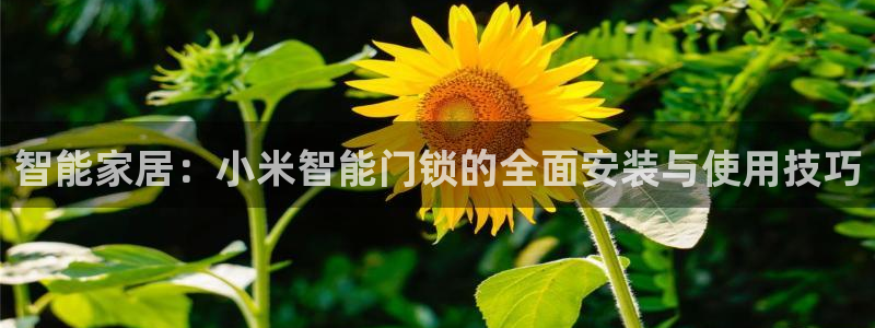 万利记菜单价格查询官网：智能家居：小米智能门锁的全面安装与使