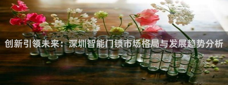 利记博彩官网：创新引领未来：深圳智能门锁市场格局与发展趋势分