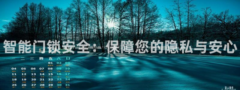 利记的官网：智能门锁安全：保障您的隐私与安心