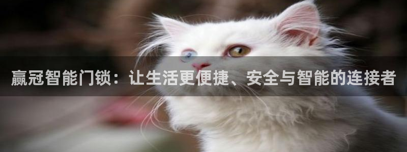 利记的官网：赢冠智能门锁：让生活更便捷、安全与智能的连接者