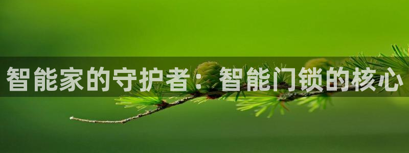 林利记官网：智能家的守护者：智能门锁的核心