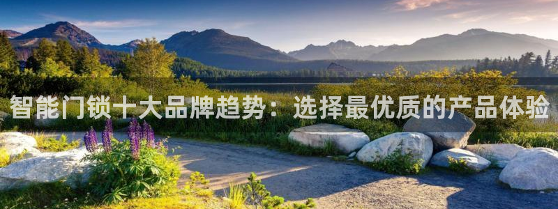 利记官网入口最新版：智能门锁十大品牌趋势：选择最优质的产品体