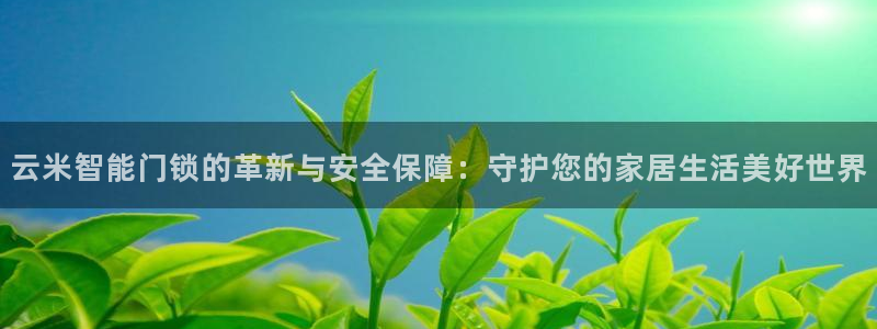 利记官网电脑版：云米智能门锁的革新与安全保障：守护您的家居生