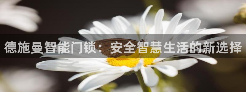 利记app官网真人游戏：德施曼智能门锁：安全智慧生活的新选择