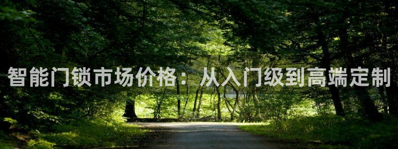 利记买球官网：智能门锁市场价格：从入门级到高端定制