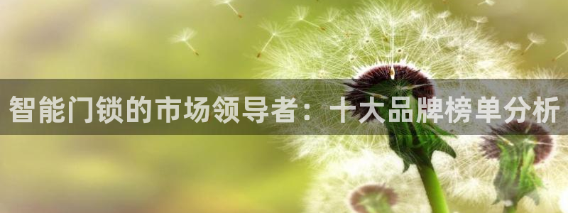 利记官网首页：智能门锁的市场领导者：十大品牌榜单分析
