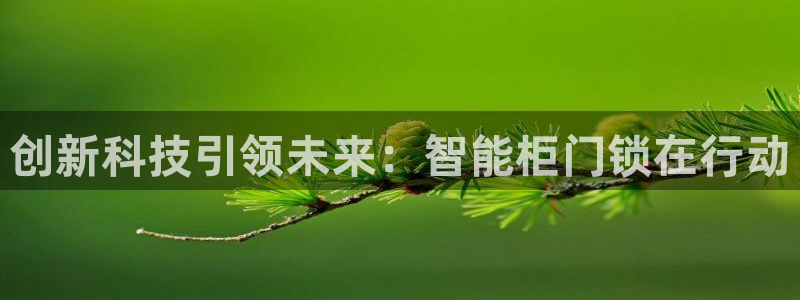 利记坊官网注册账号申请：创新科技引领未来：智能柜门锁在行动