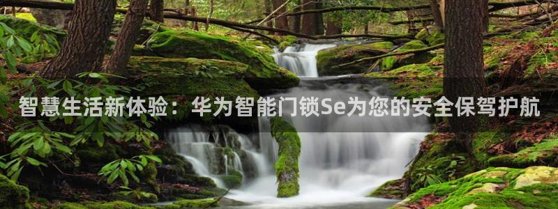 铂利记旗舰店官网：智慧生活新体验：华为智能门锁Se为您的安全
