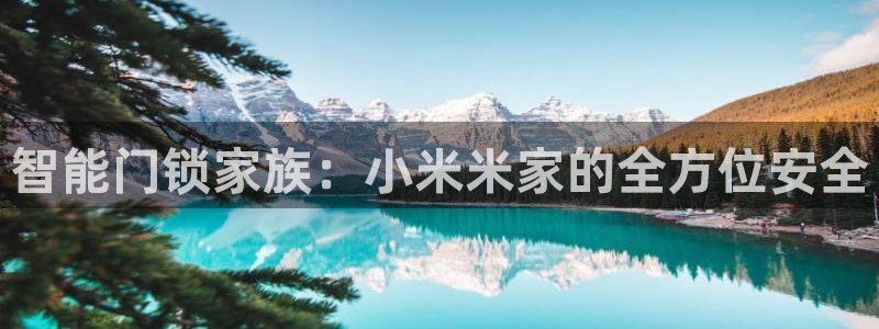 利记彩票官网hd71：智能门锁家族：小米米家的全方位安全