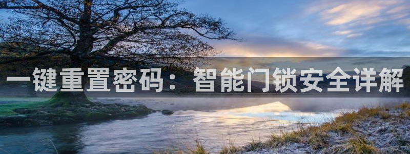 sbo利记体育官网：一键重置密码：智能门锁安全详解
