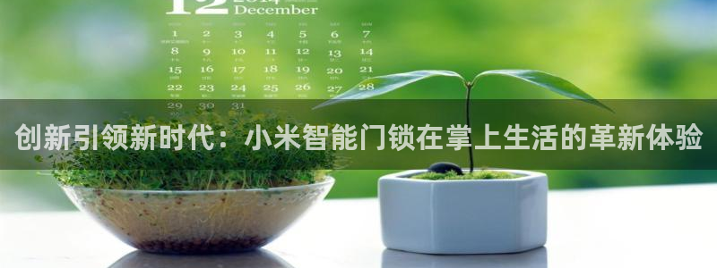 sbotop利记官网：创新引领新时代：小米智能门锁在掌上生活