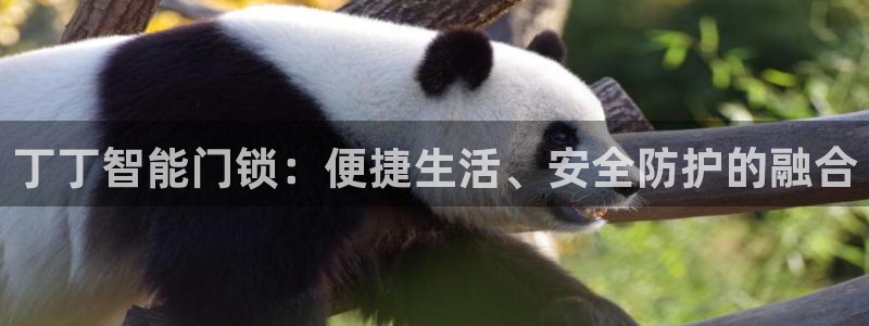 利记坊平台唯一官网：丁丁智能门锁：便捷生活、安全防护的融合