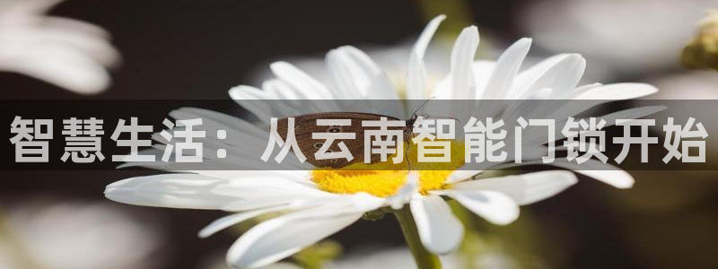 利记体育投注官网：智慧生活：从云南智能门锁开始