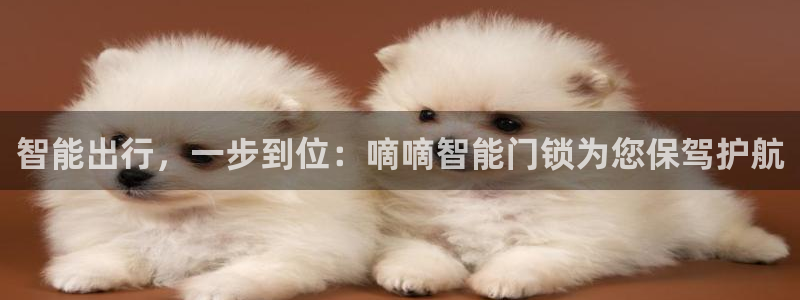 利记买球官网：智能出行，一步到位：嘀嘀智能门锁为您保驾护航