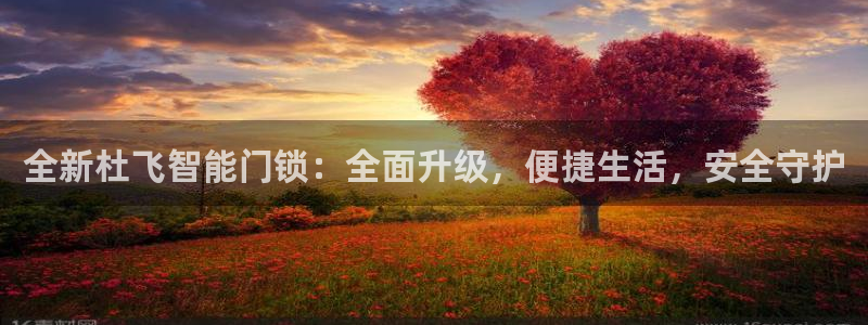 利记官网app：全新杜飞智能门锁：全面升级，便捷生活，安全守