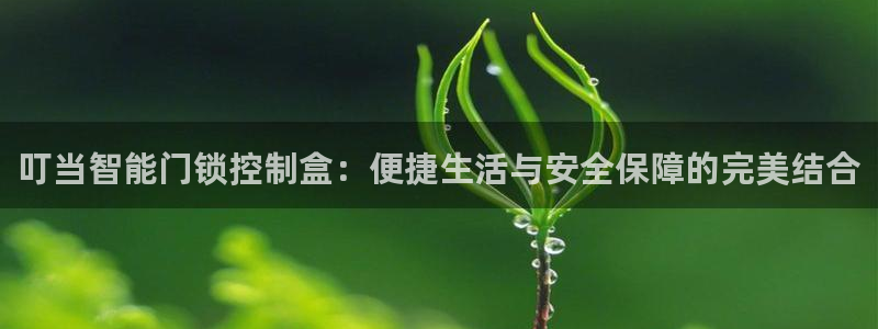 利记官网多少：叮当智能门锁控制盒：便捷生活与安全保障的完美结