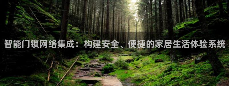 万利记官网：智能门锁网络集成：构建安全、便捷的家居生活体验系