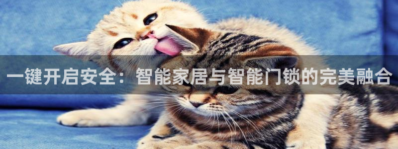 利记官网平台入口：一键开启安全：智能家居与智能门锁的完美融合