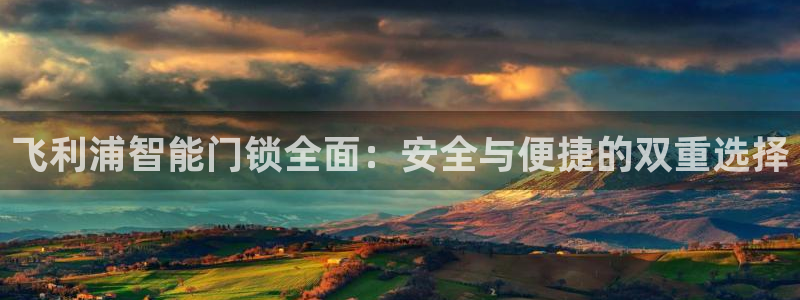 利记官网地址：飞利浦智能门锁全面：安全与便捷的双重选择