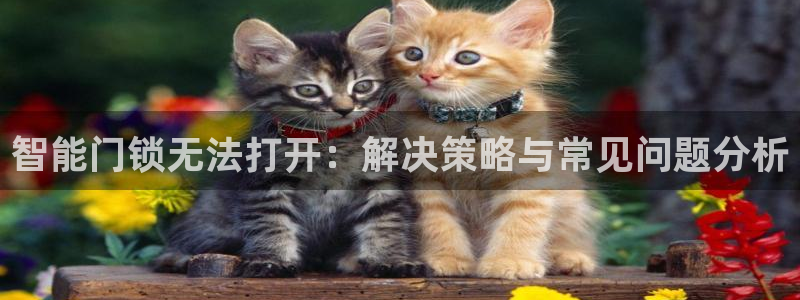 利记手机官网葡京备用：智能门锁无法打开：解决策略与常见问题分