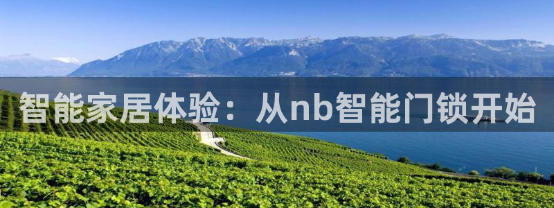利记官网多少：智能家居体验：从nb智能门锁开始