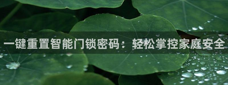 利记彩票官网：一键重置智能门锁密码：轻松掌控家庭安全