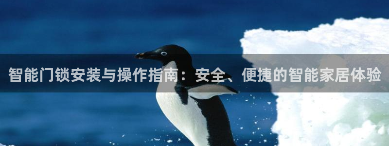 利记手机官网葡京备用：智能门锁安装与操作指南：安全、便捷的智