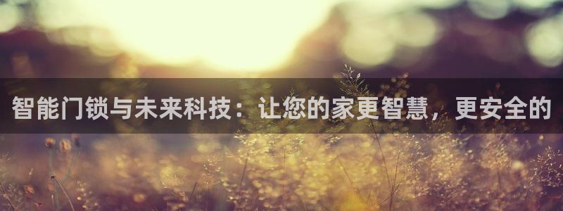 万利记官方旗舰店官网：智能门锁与未来科技：让您的家更智慧，更