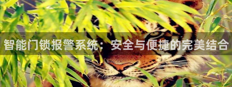 利记坊官网注册：智能门锁报警系统：安全与便捷的完美结合