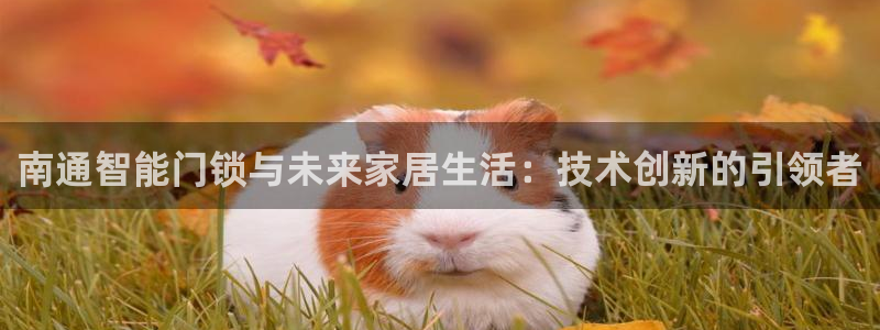 利记体育官网地址：南通智能门锁与未来家居生活：技术创新的引领