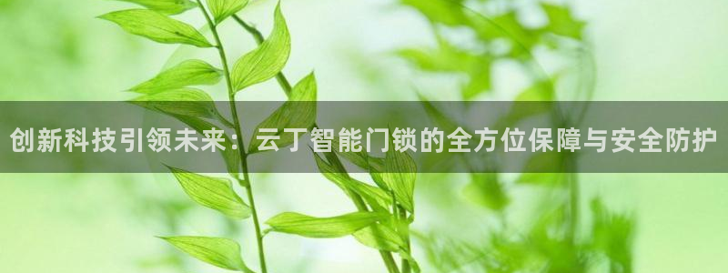 万利记官方旗舰店官网：创新科技引领未来：云丁智能门锁的全方位