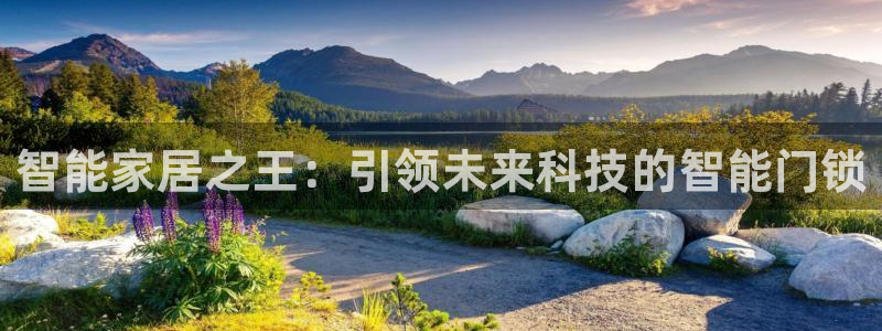利记官网app下载网址：智能家居之王：引领未来科技的智能门锁