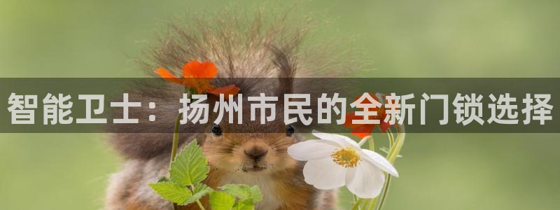 万利记官方旗舰店官网：智能卫士：扬州市民的全新门锁选择