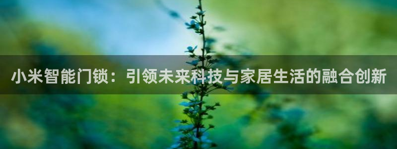 利记娱乐网唯一官网：小米智能门锁：引领未来科技与家居生活的融