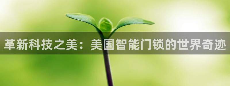 利记手机官网bb电子平台官方：革新科技之美：美国智能门锁的世