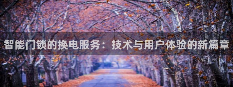 利记集团官网：智能门锁的换电服务：技术与用户体验的新篇章