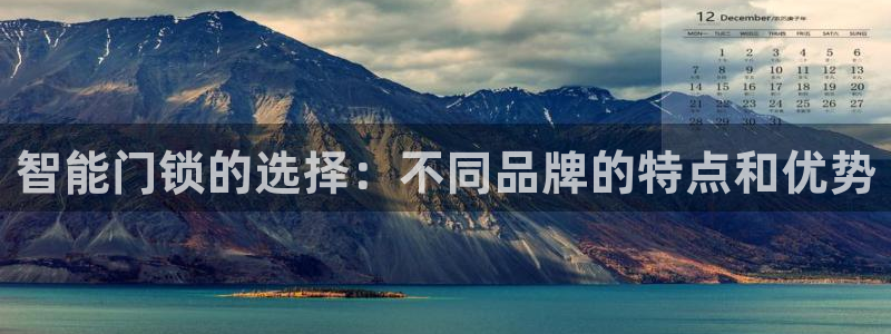 万利记官方旗舰店官网：智能门锁的选择：不同品牌的特点和优势