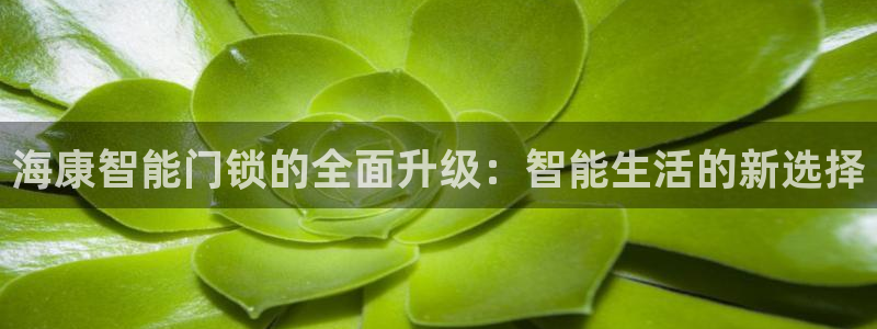 利记娱乐会员金钻官网：海康智能门锁的全面升级：智能生活的新选