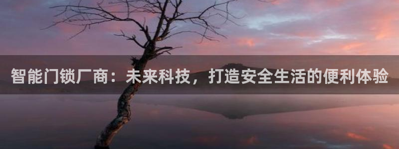 利记bet官网登录入口：智能门锁厂商：未来科技，打造安全生活