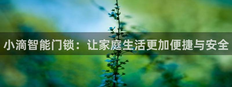 利记手机官网入口：小滴智能门锁：让家庭生活更加便捷与安全